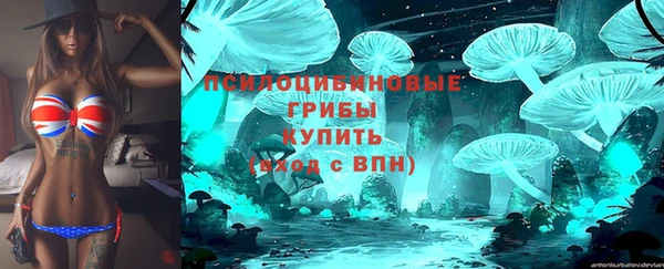 PSILOCYBIN Горняк