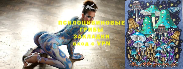гидропоника Алексеевка