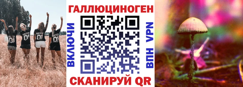 darknet какой сайт  omg зеркало  Галлюциногенные грибы прущие грибы  Сыктывкар  наркошоп 